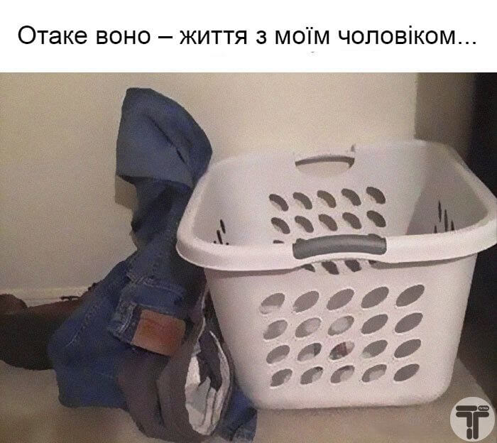 сімейне життя