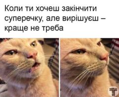 сімейне життя