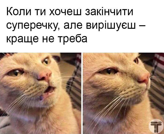 сімейне життя