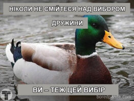 сімейне життя