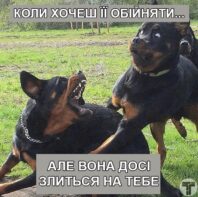 сімейне життя