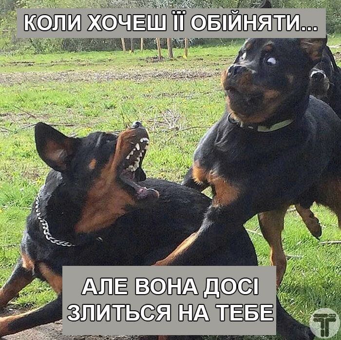 сімейне життя